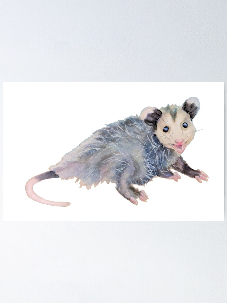 Poster Opossum Bebe Souriant Par Mariaworkman Redbubble