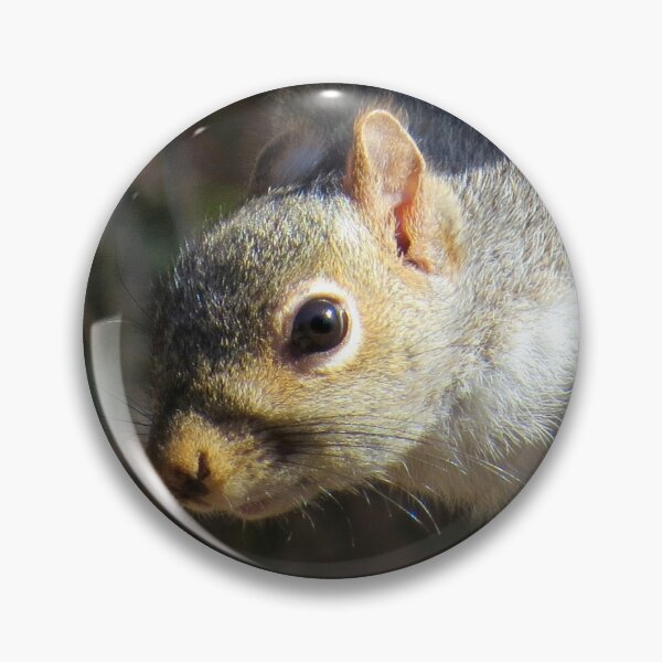 Item preview, Eastern Gray Squirrel (Sciruus carolinensis) designed and sold by Jean Gregory Evans.