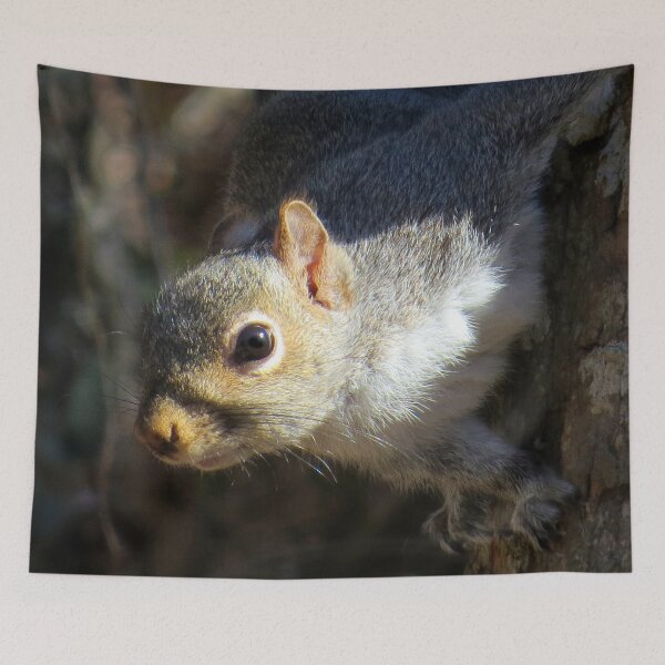 Item preview, Eastern Gray Squirrel (Sciruus carolinensis) designed and sold by Jean Gregory Evans.