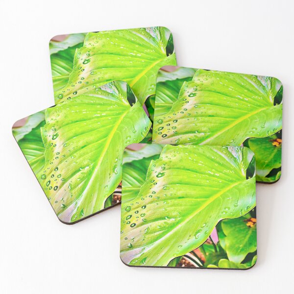 Item preview, Autumnal water lily designed and sold by GerryS.