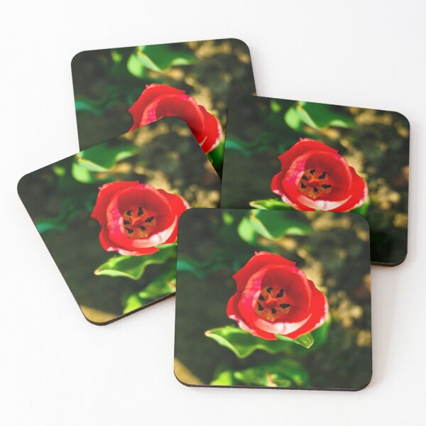 Item preview, Tulip designed and sold by Gaël FONTAINE.