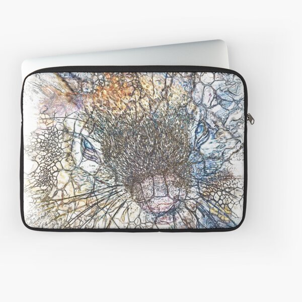 The Atlas of Dreams - Color Plate 214 Laptop Sleeve