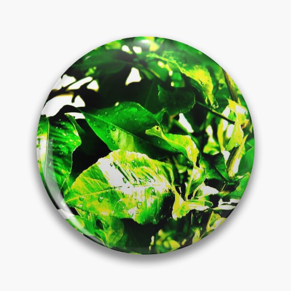 Item preview, Green foliage designed and sold by GerryS.