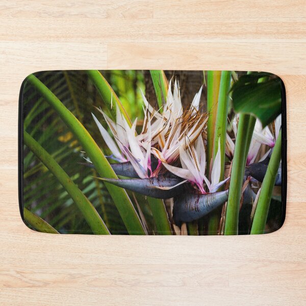 Item preview, Bird-of-paradise designed and sold by Gaël FONTAINE.