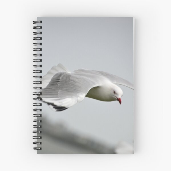 Item preview, Seagull in Flight designed and sold by TheaShutterbug.
