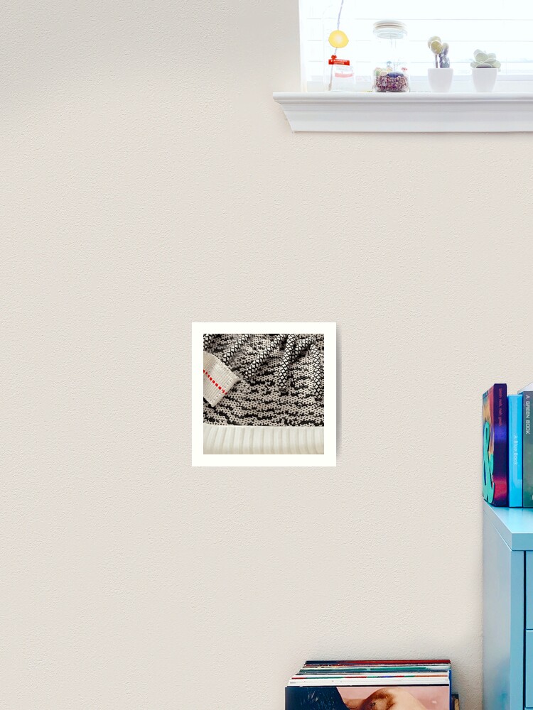 yeezy turtle dove print