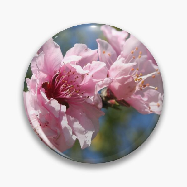 Item preview, Close Up Peach Tree Blossom  designed and sold by taiche.