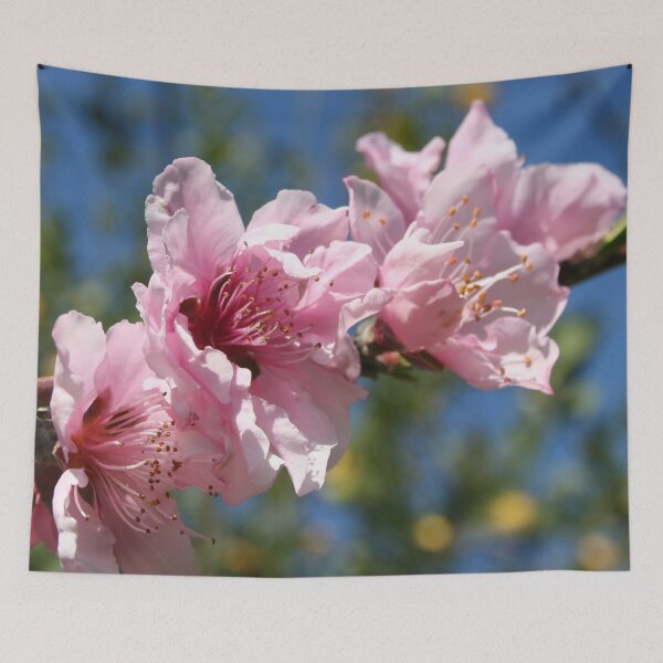 Item preview, Close Up Peach Tree Blossom  designed and sold by taiche.