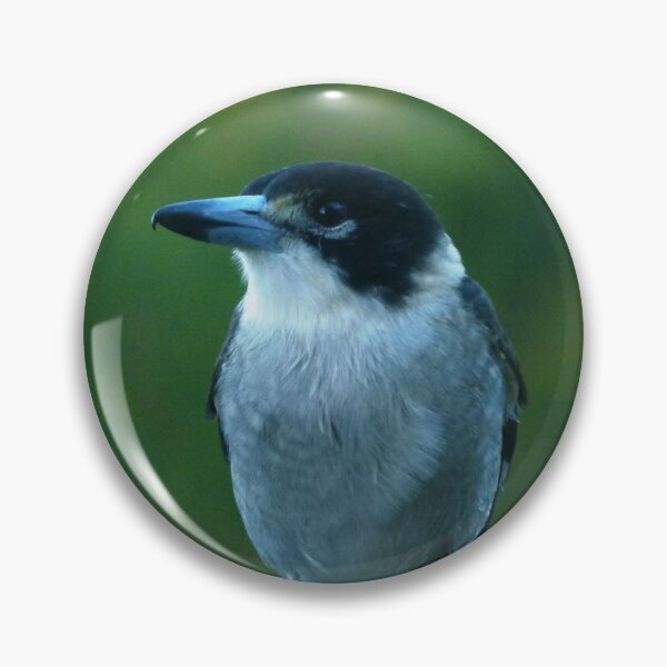 Item preview, Grey Butcherbird, Cracticus torquatus designed and sold by Trish Meyer.