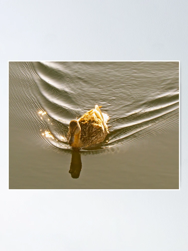 Thumbnail 1 of 3, Poster, Making waves designed and sold by Ravred.