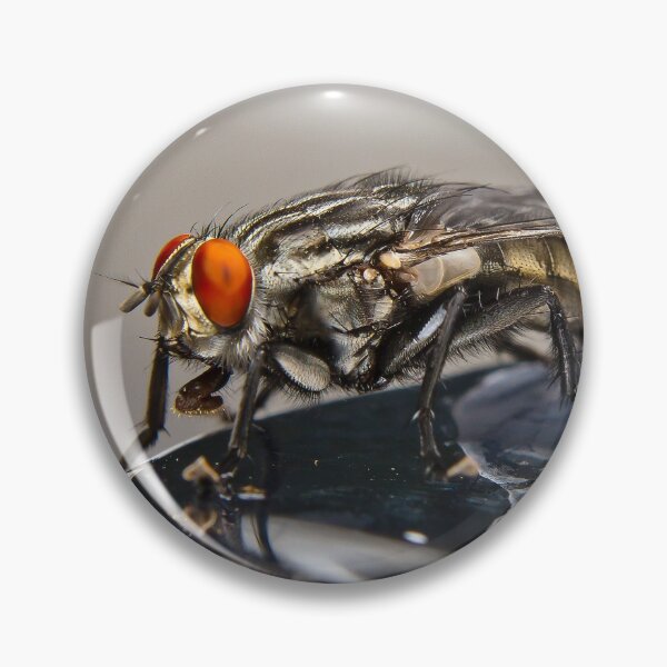 Item preview, Fly 007 designed and sold by kevin Chippindall.