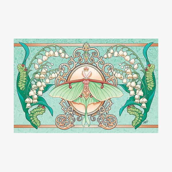 Moon Moth Photographic Print
