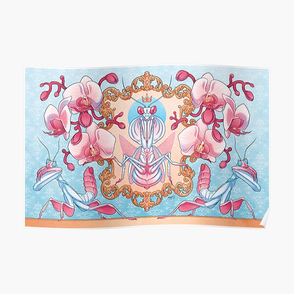 Mantis Prayer Poster