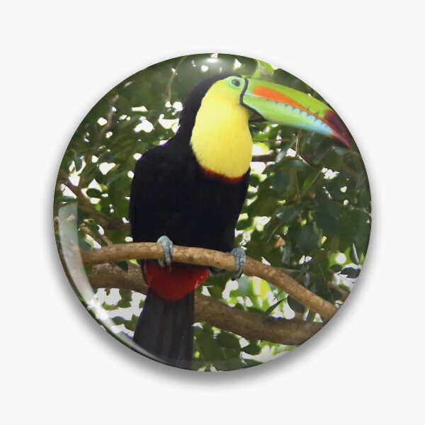 Item preview, Keel-billed Toucan designed and sold by Carole-Anne.