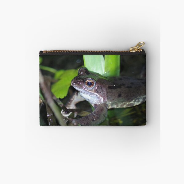 Item preview, Common Frog designed and sold by Steven Allain.