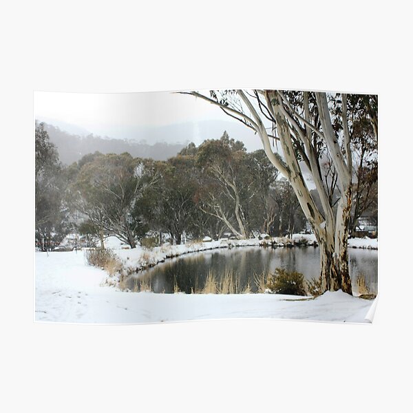 Thredbo Village, NSW Poster