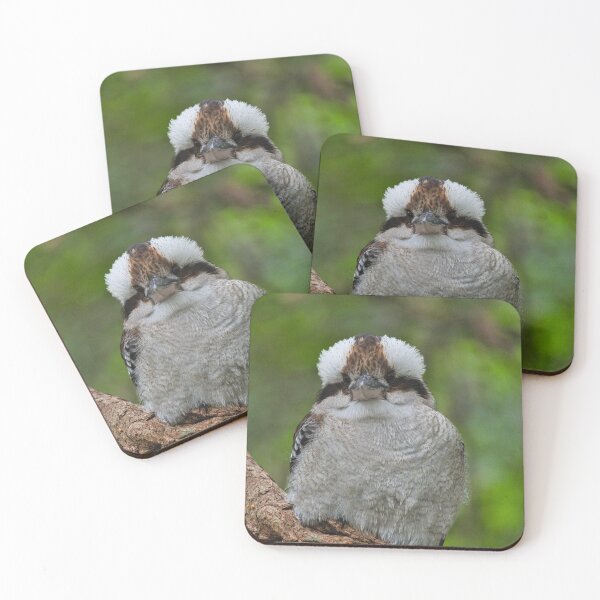 Item preview, Cheeky Laughing Kookaburra designed and sold by BackyardZoology.