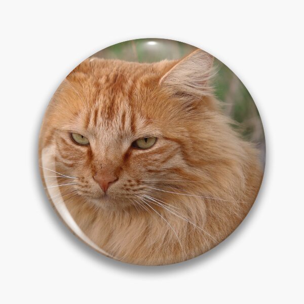Item preview, A sweet and friendly cat designed and sold by Trine.
