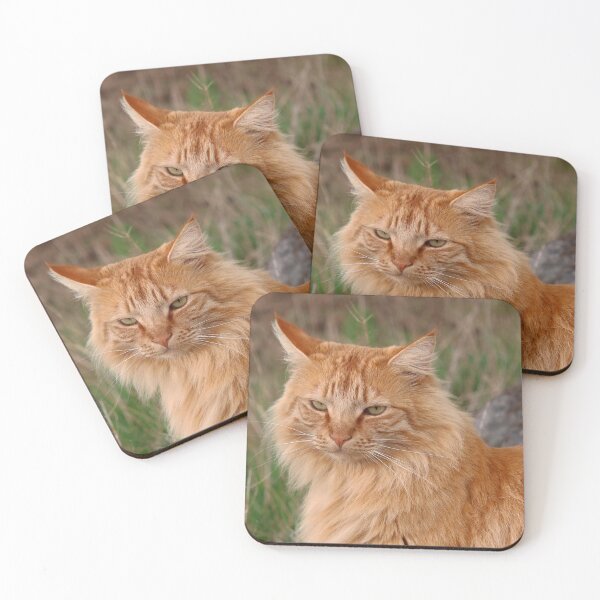 Item preview, A sweet and friendly cat designed and sold by Trine.