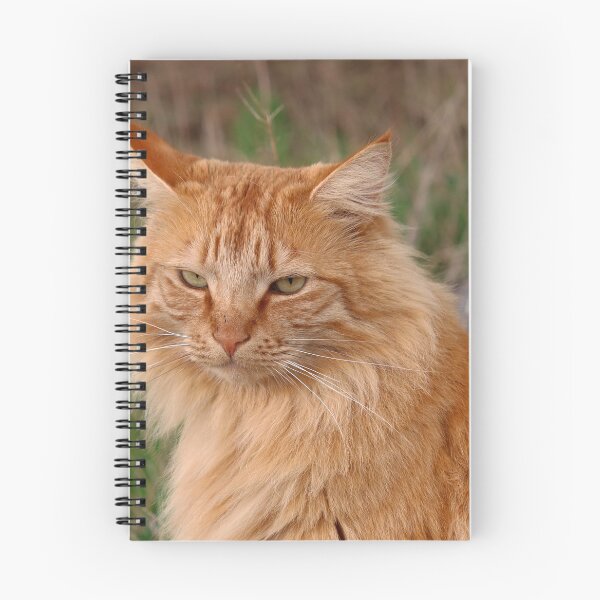 Item preview, A sweet and friendly cat designed and sold by Trine.