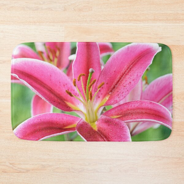 Item preview, Lilium  'Joop'  Oriental hybrid lily  designed and sold by Chris Burrows.