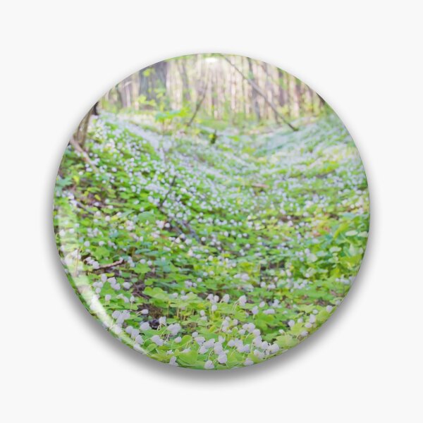 Item preview, Oxalis acetosella or common wood sorrel. Close up blooming view in spring in the forest. designed and sold by anytka.
