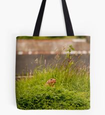 Prairie dog Tote Bag