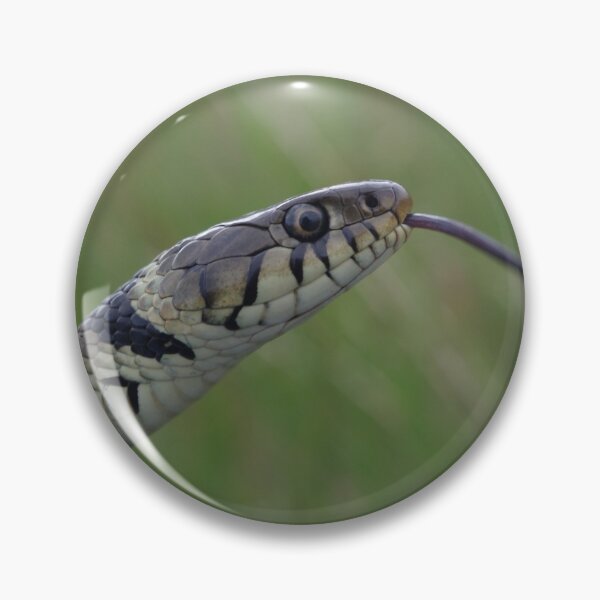 Item preview, Grass Snake designed and sold by Steven Allain.