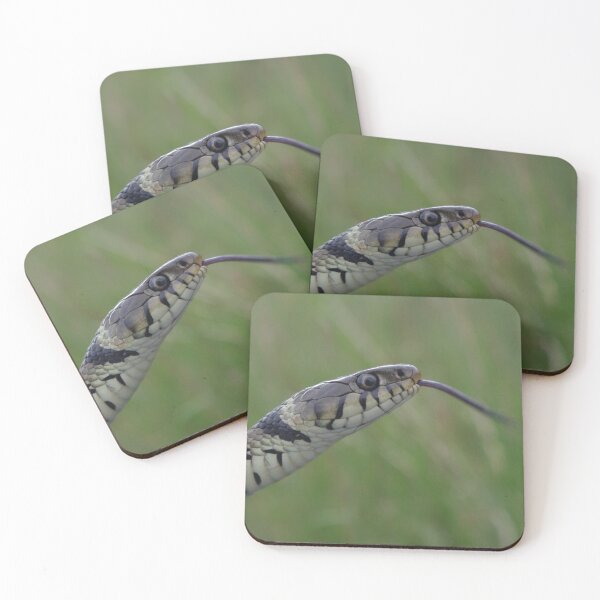 Item preview, Grass Snake designed and sold by Steven Allain.