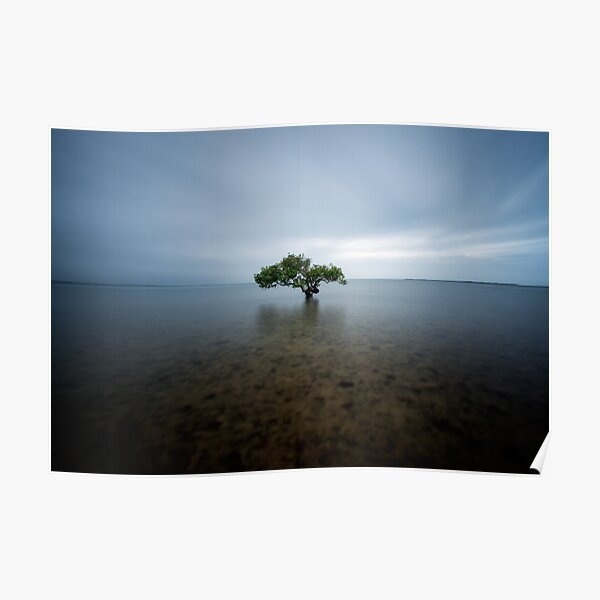 "I Stand Alone" ∞ King Island, QLD - Australia Poster