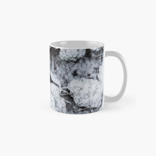 Snow Covered Fern Classic Mug