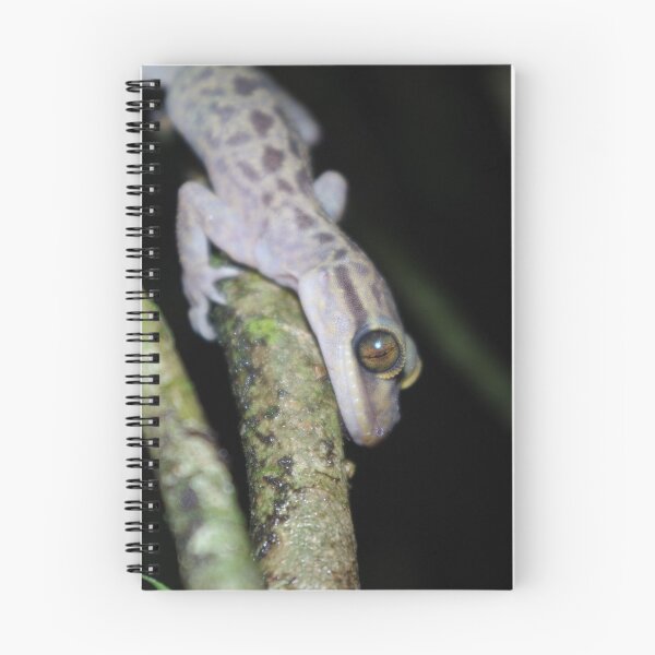Item preview, Balu bow-fingered gecko designed and sold by Steven Allain.