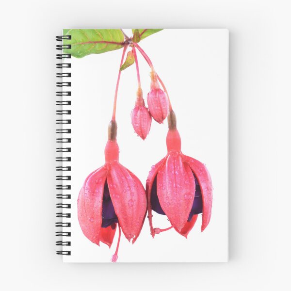 Item preview, Fuchsia,Voodoo'  Flower buds designed and sold by Chris Burrows.
