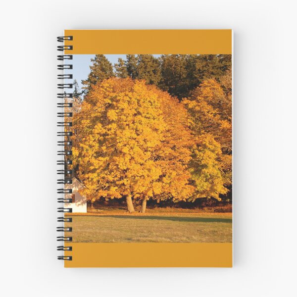 Aperçu de l'œuvre English Camp in Autumn créée et vendue par Deborah Singer.