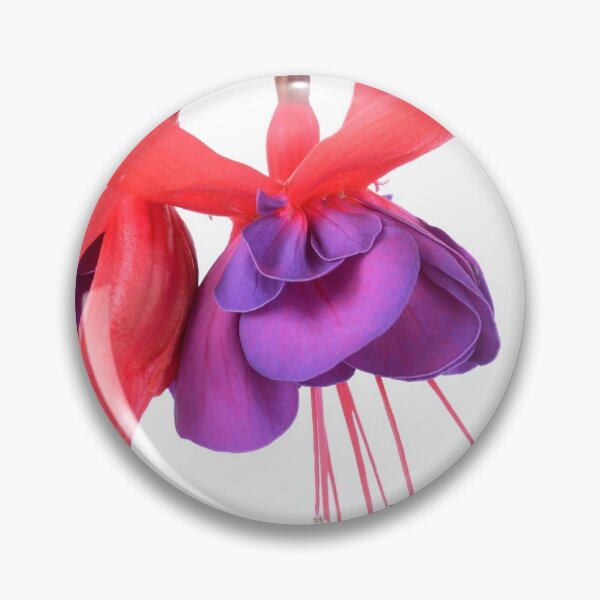 Item preview, Fuchsia  'Voodoo' designed and sold by Chris Burrows.