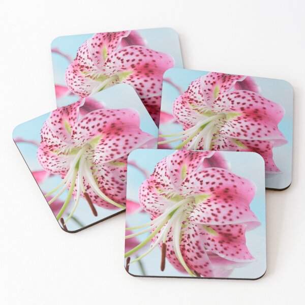 Item preview, Lilium speciosum var. rubrum  Species lily   designed and sold by Chris Burrows.