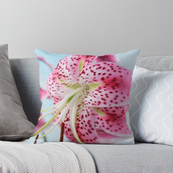 Item preview, Lilium speciosum var. rubrum  Species lily   designed and sold by Chris Burrows.