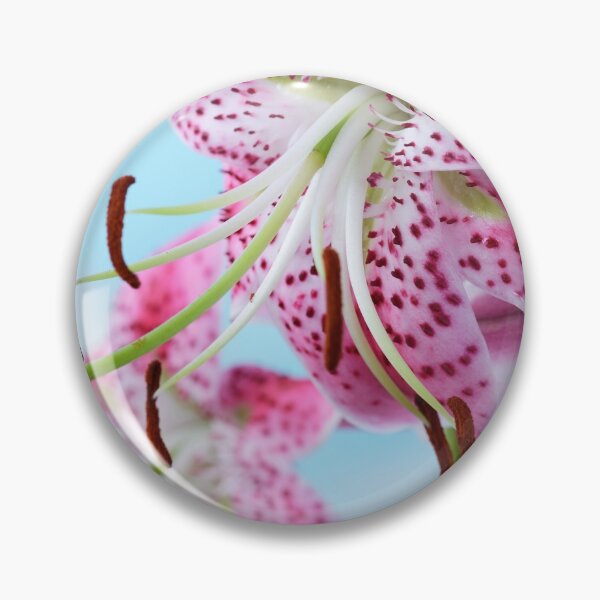 Item preview, Lilium speciosum var. rubrum  Species lily   designed and sold by Chris Burrows.
