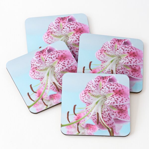 Item preview, Lilium speciosum var. rubrum  Species lily   designed and sold by Chris Burrows.
