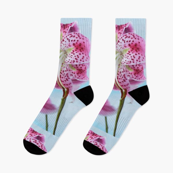 Item preview, Lilium speciosum var. rubrum  Species lily   designed and sold by Chris Burrows.
