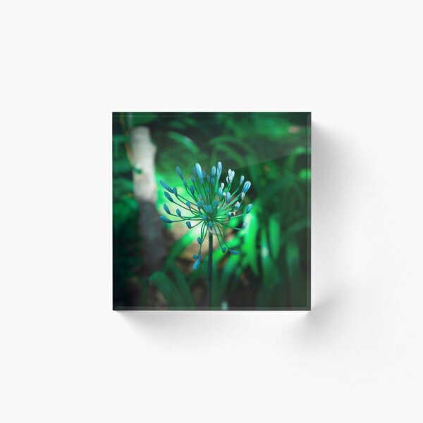 Memoria Acrylic Block