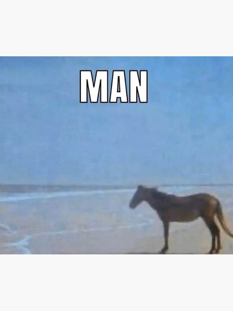 "Horse looking out to sea meme" Tapestry for Sale by CarterBDesigns