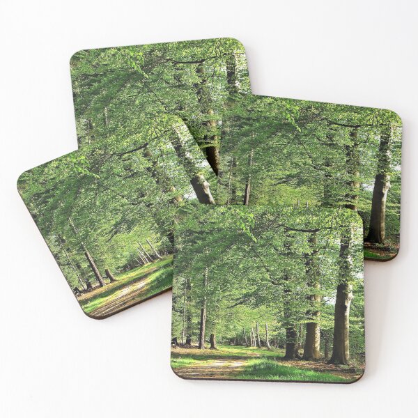 Item preview, I feel like a forest walk designed and sold by jchanders.