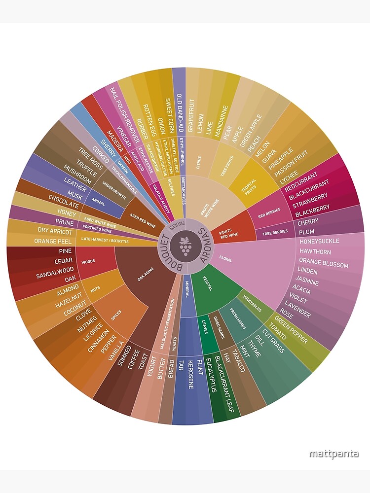 "WeinAromaRad" Aufgezogener Druck von mattpanta Redbubble