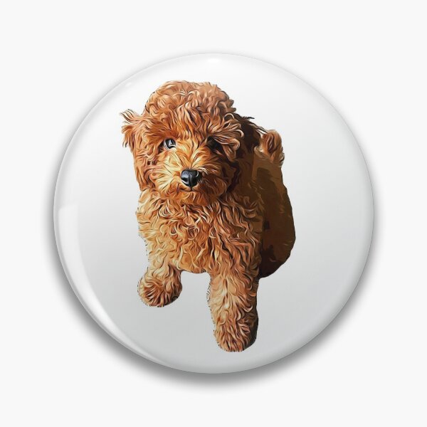 Item preview, Poodle Puppy Dog- Cutest curls designed and sold by ElegantCat.