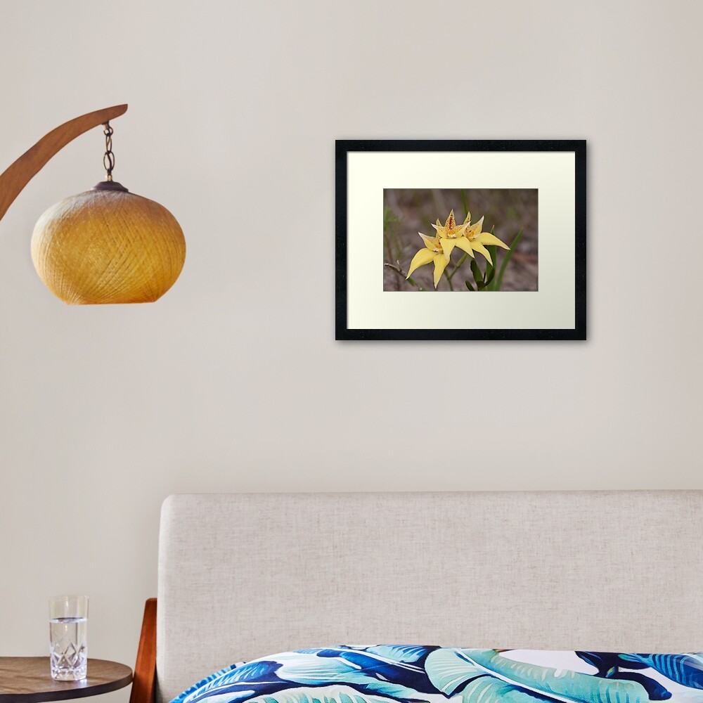Cowslips by three Framed Art Print