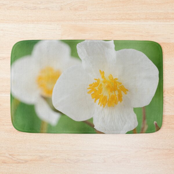 Item preview, Eomecon chionantha  Snow poppy  Chinese Bloodroot  designed and sold by Chris Burrows.