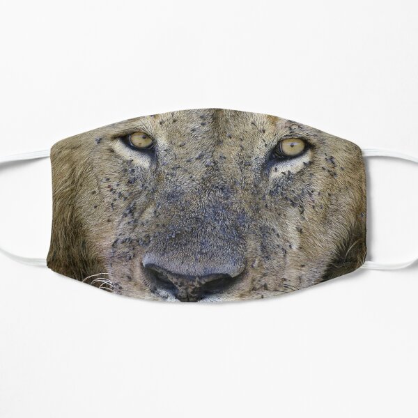 Lion Masque sans plis