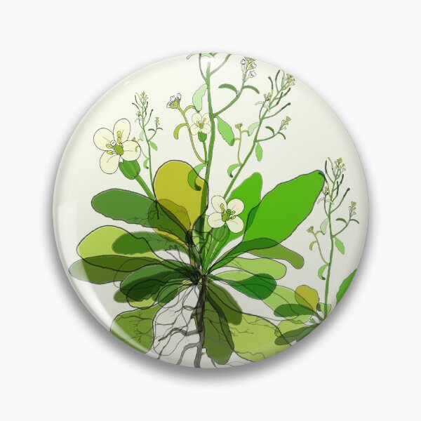 Item preview, Arabidopsis designed and sold by priyankaoberoi.