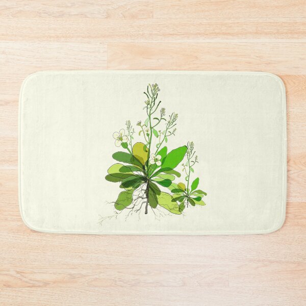 Item preview, Arabidopsis designed and sold by priyankaoberoi.